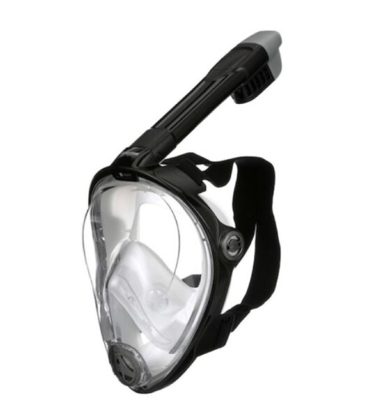 Snorkel & Fins